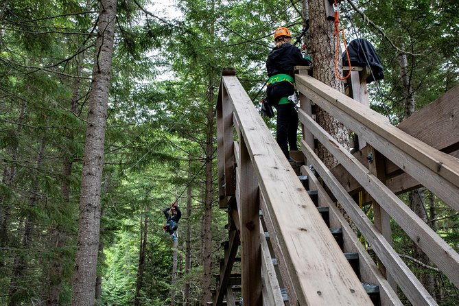 Zipline Adventure in Whistler - Gravity Does the Work