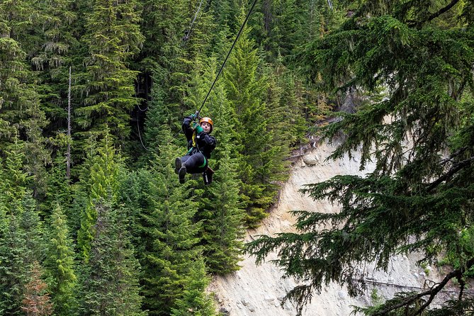 Zipline Adventure in Whistler - Price and Overall Value