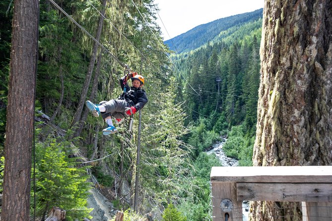 Zipline Adventure in Whistler - Booking, Weather, and Cancellation Details