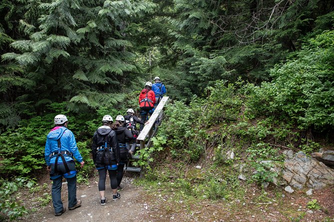 Zipline Adventure in Whistler - Five Lines, Bridges, and a Forest Walk