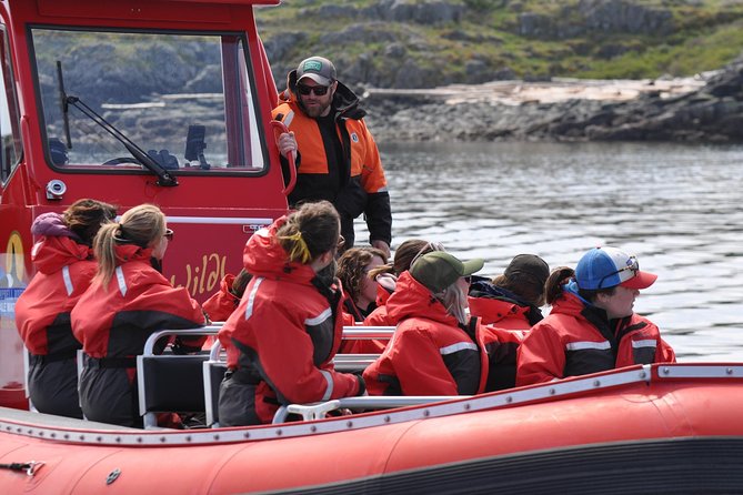 Zodiac Boat Whale and Wildlife 6-Hour Tour from Campbell River - Is the Campbell River zodiac tour worth booking?
